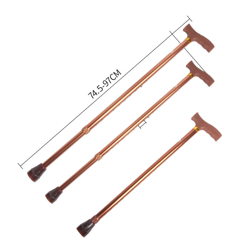 Outdoor Travel Trekking Walking Sticks