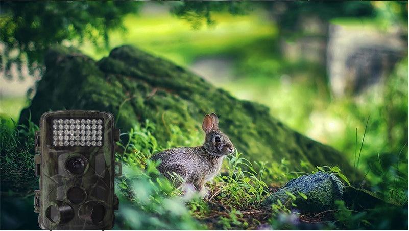 Outdoor Wildlife Hunting Infrared Trail Camera Night Vision