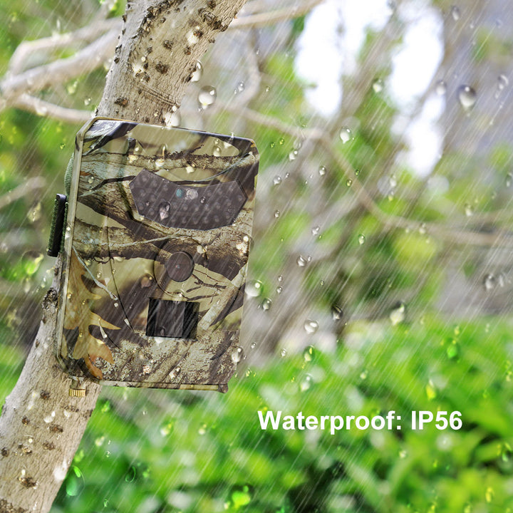 1080P Wildlife Trail Camera Infrared Night Vision