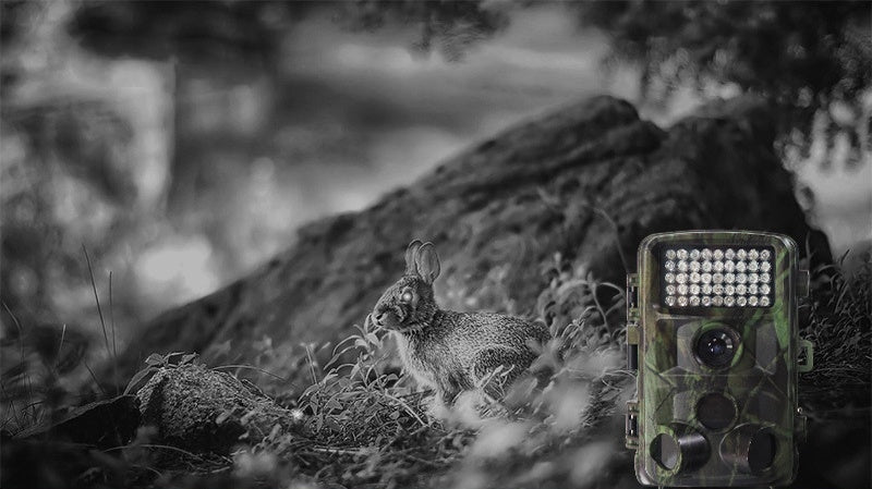 Outdoor Wildlife Hunting Infrared Trail Camera Night Vision