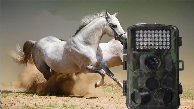 Outdoor Wildlife Hunting Infrared Trail Camera Night Vision